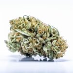 Harlequin CBD