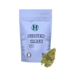 SILVER HAZE